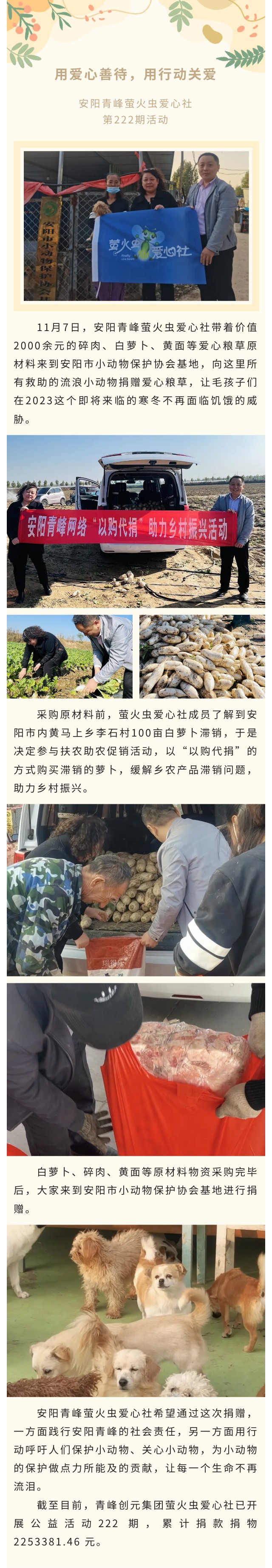 用愛心善待，用行動關愛--青峰創元集團螢火蟲愛心活動第222期報道